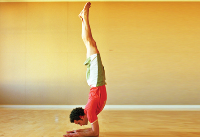 24 Outstanding Peacock Pose Yoga 24 Outstanding Peacock Pose Yoga