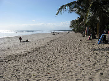 empty beach bali and coconut trees where to find gluten free bread snacks Legian Celiac intolerant