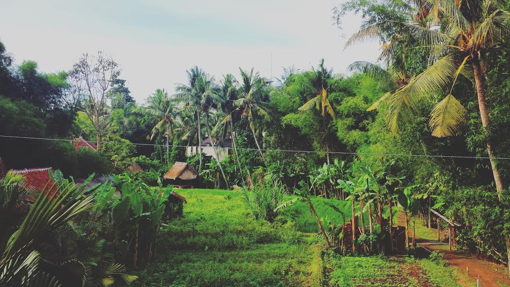 Small village Indonesia bali celiac bread intolerant eat eat where to find snack healthy