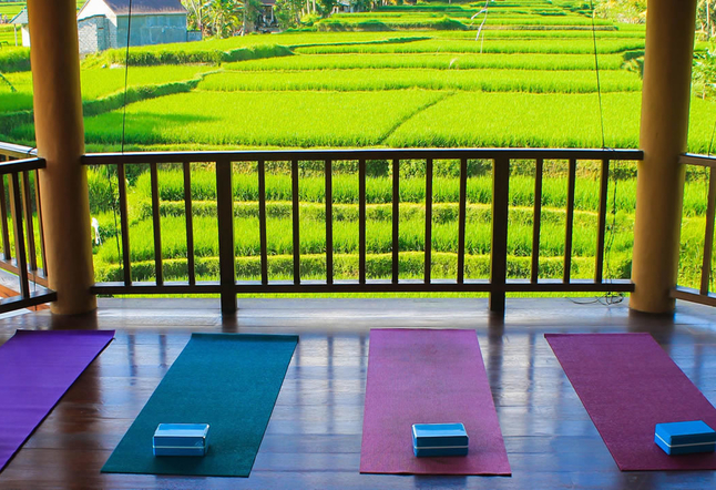 yoga mats and blocks in room facing rice fields Yoga Studios Ubud Classes Practice Bali