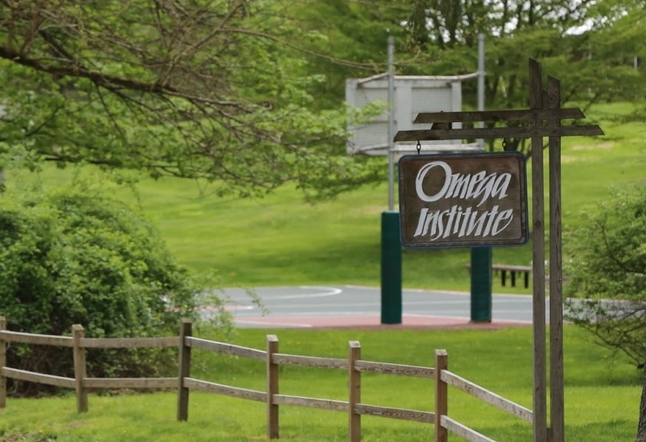 fun family yoga retreats