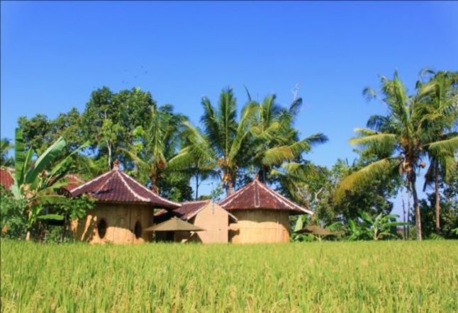 Small huts in rice fields bali Yoga Studios Ubud Classes Practice Bali