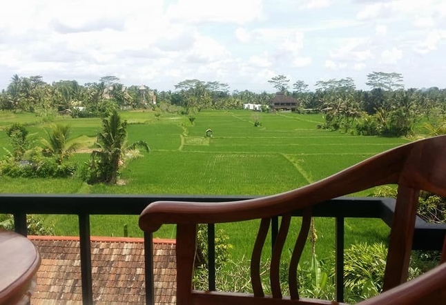 Chair in front of Rice FILEDS Yoga Studios Ubud Classes Practice Bali