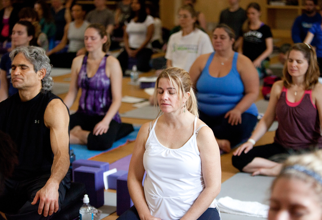 fun family yoga retreats