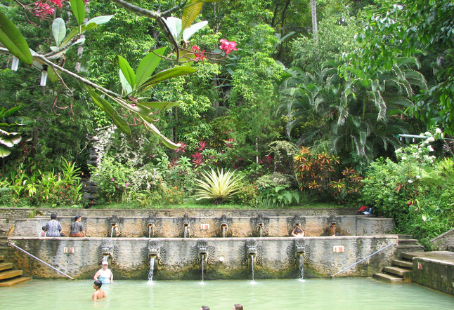 Things to do in Pemuteran, North of Bali