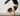 mastering the scorpion pose - 6 easy steps to vrschikasana