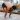 A Yogini in New York | Part Four