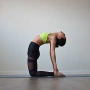 camel pose, ustrasana