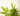 what is CBD oil and does it work?