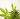 what is CBD oil and does it work?