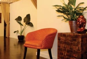 cocoon urban day spa