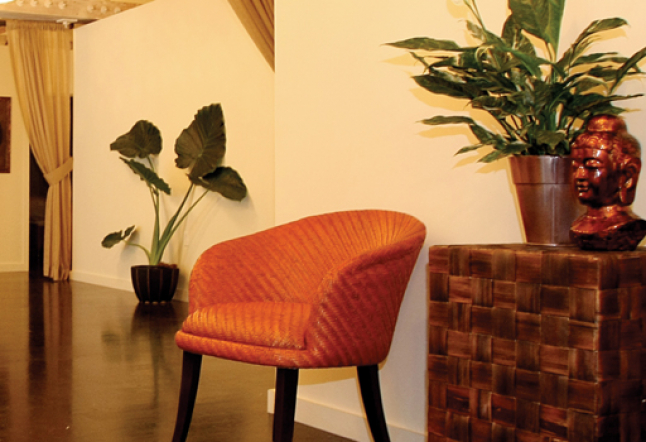 cocoon urban day spa