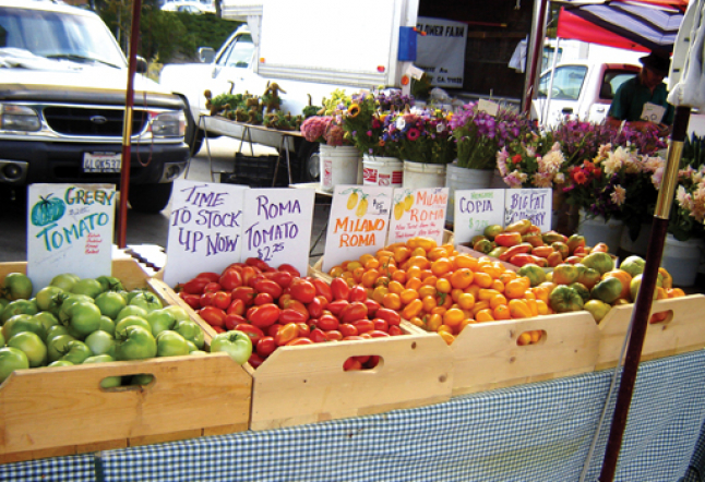 marin civic center farmers’ market