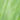 A Quiet Green of Peace