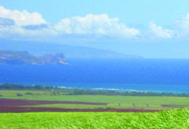 makawao, maui