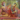 Windows to the Spiritual World