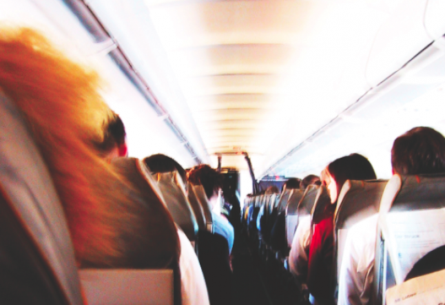 the calm traveler