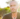 interview with tyler tolman