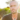 interview with tyler tolman
