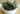 crispy kale chips