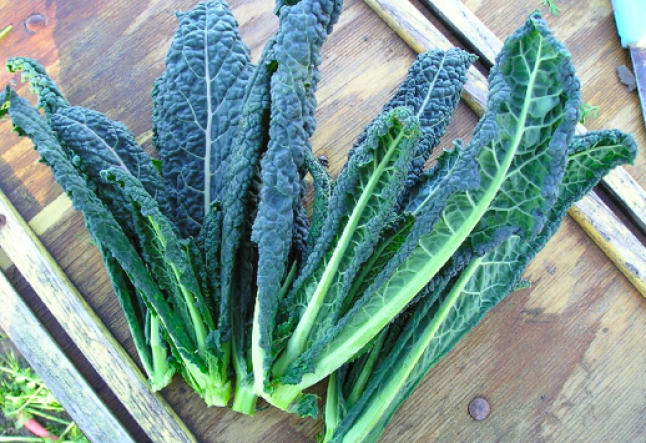 kale recipes for kids