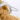 Rice Protein Versus Whey Protein