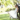 Getting Married? Go Green!!!