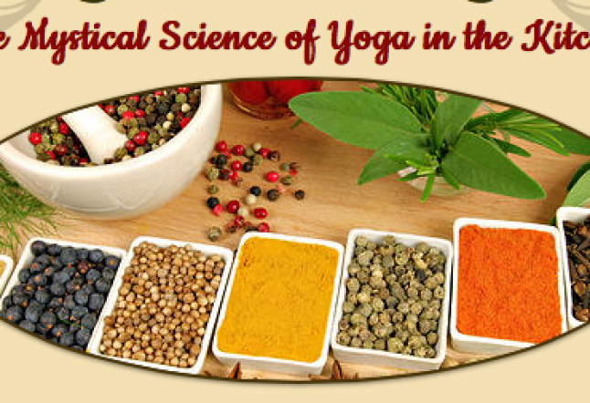 cooking the yoga sutras, an online course