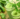 juicing 101: a guide for a healthier you