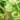 juicing 101: a guide for a healthier you