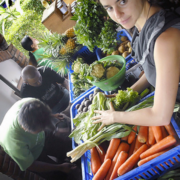 ubud organic farmers market