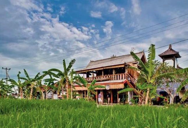 betelnut café in canggu - closed - taking a break