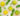 all about bergamot oil