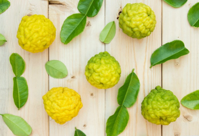 all about bergamot oil