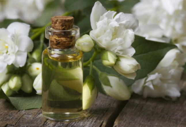 all about jasmine oil