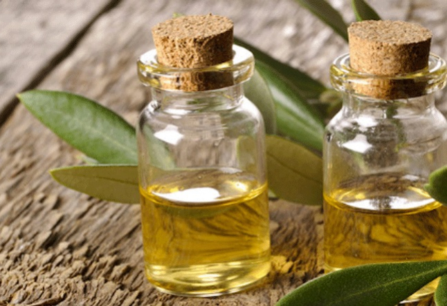 all about tea tree oil