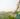 how to use essential oils in yoga therapy