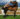 yoga teacher training and horses