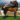 yoga teacher training and horses