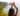 yogic wisdom - 6 practices for permanent weight-loss