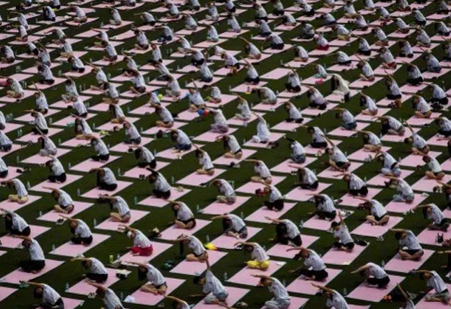 demographics & statistics of the yoga industry