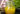 raw creamy yellow salad dressing