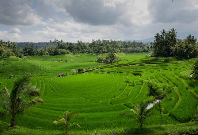 preserving while promoting balinese culture