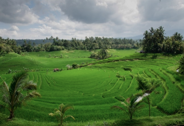 discovering bali