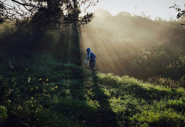 into the wild algarve