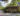 tai tong organic ecopark