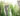 socially conscious  investing