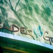 tender green - culver city