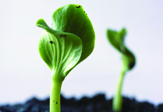 aligning with nature - your guide to renewable energy and sustainable living