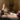 marlise karlin’s sensuous world of beauty and tranquility